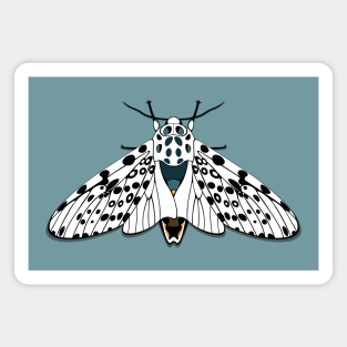 Giant Leopard Moth Magnet